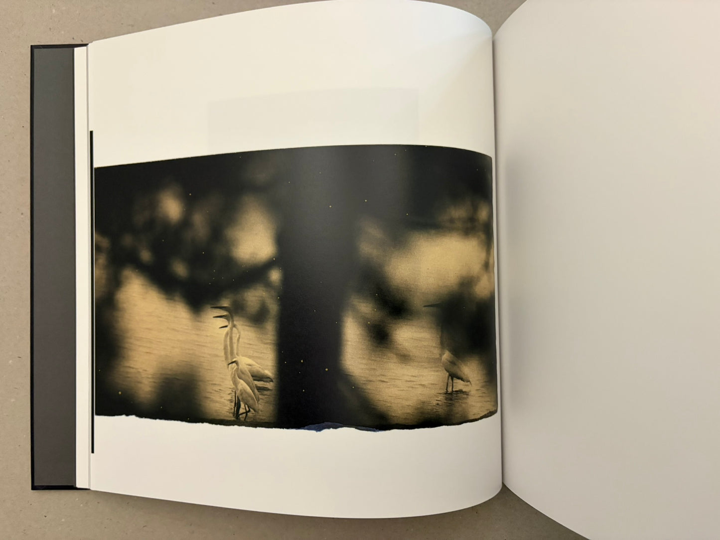 Close view of the book’s sewn binding and page edges, with black cover boards visible beneath the open pages.