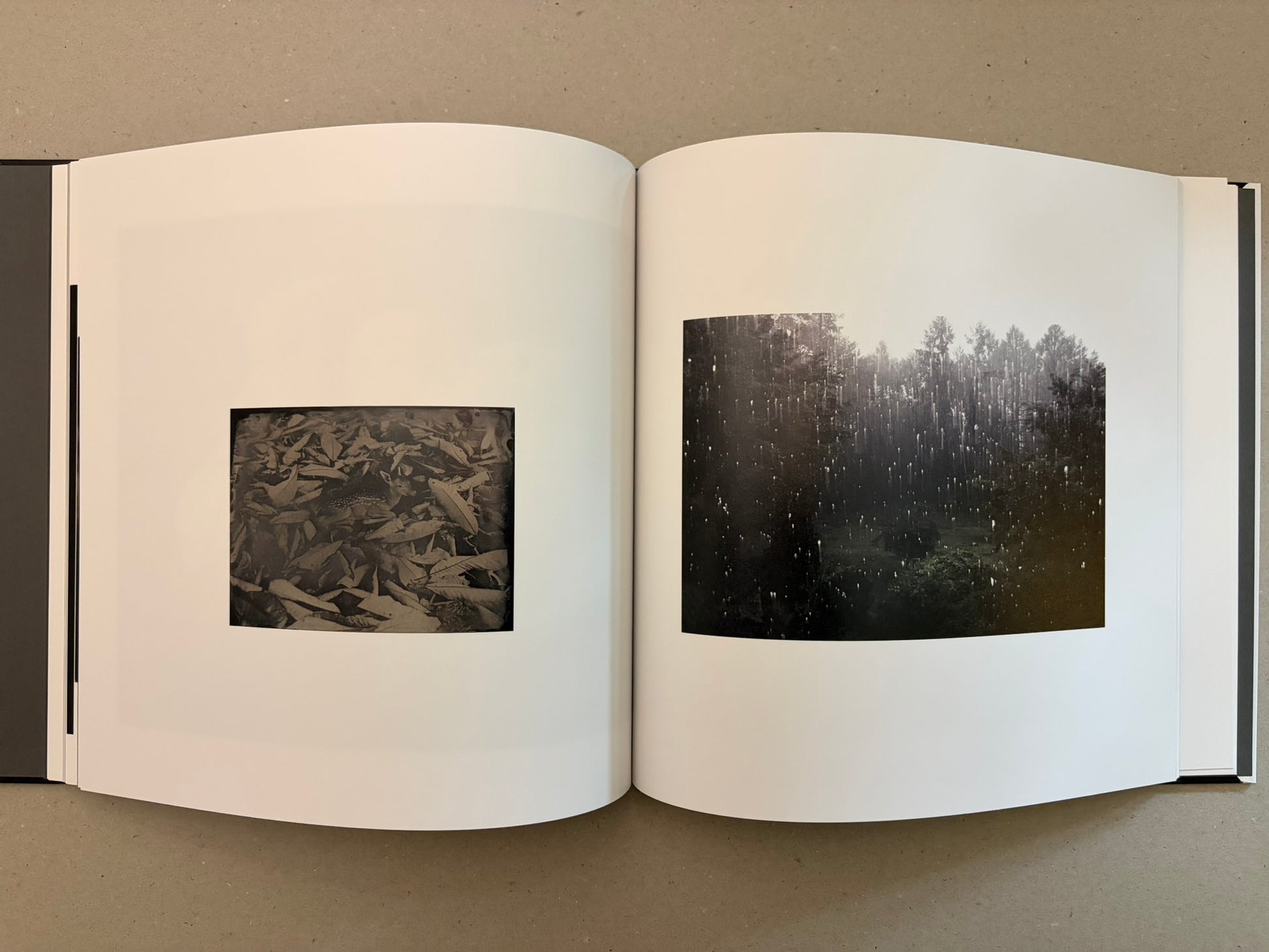 Open Kurayami spread with a small sepia-toned image of leaves on the left and a dark forest scene on the right.