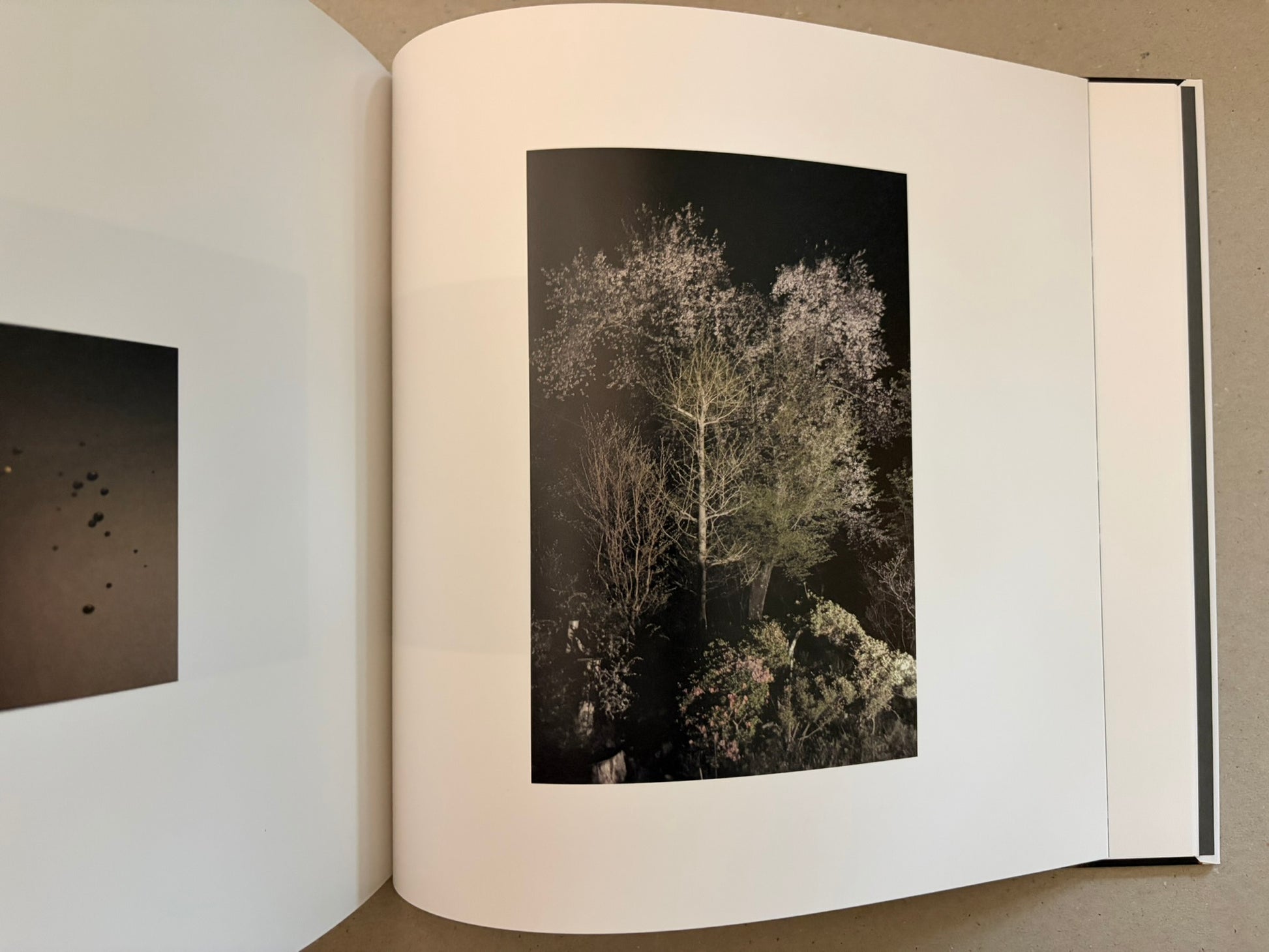 Open Kurayami spread with a tall tree photograph on the right page and a partial dark image on the left.