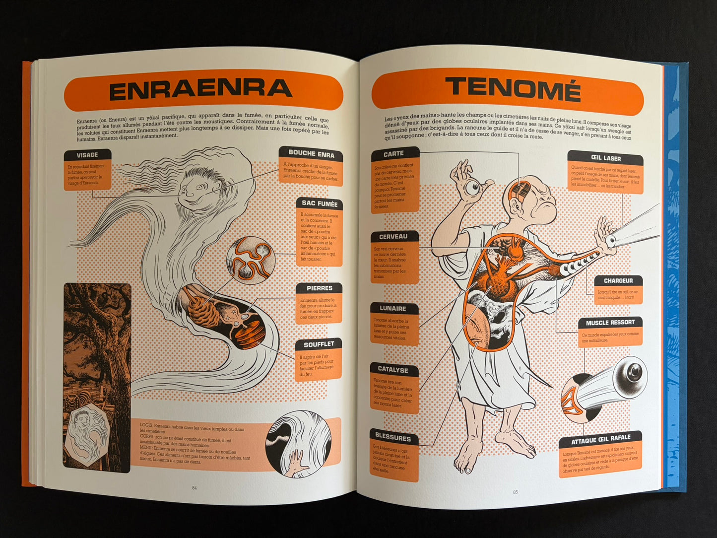 Two-page spread with yokai anatomy diagrams titled Enraenra and Tenomé in À l'intérieur des yokai.