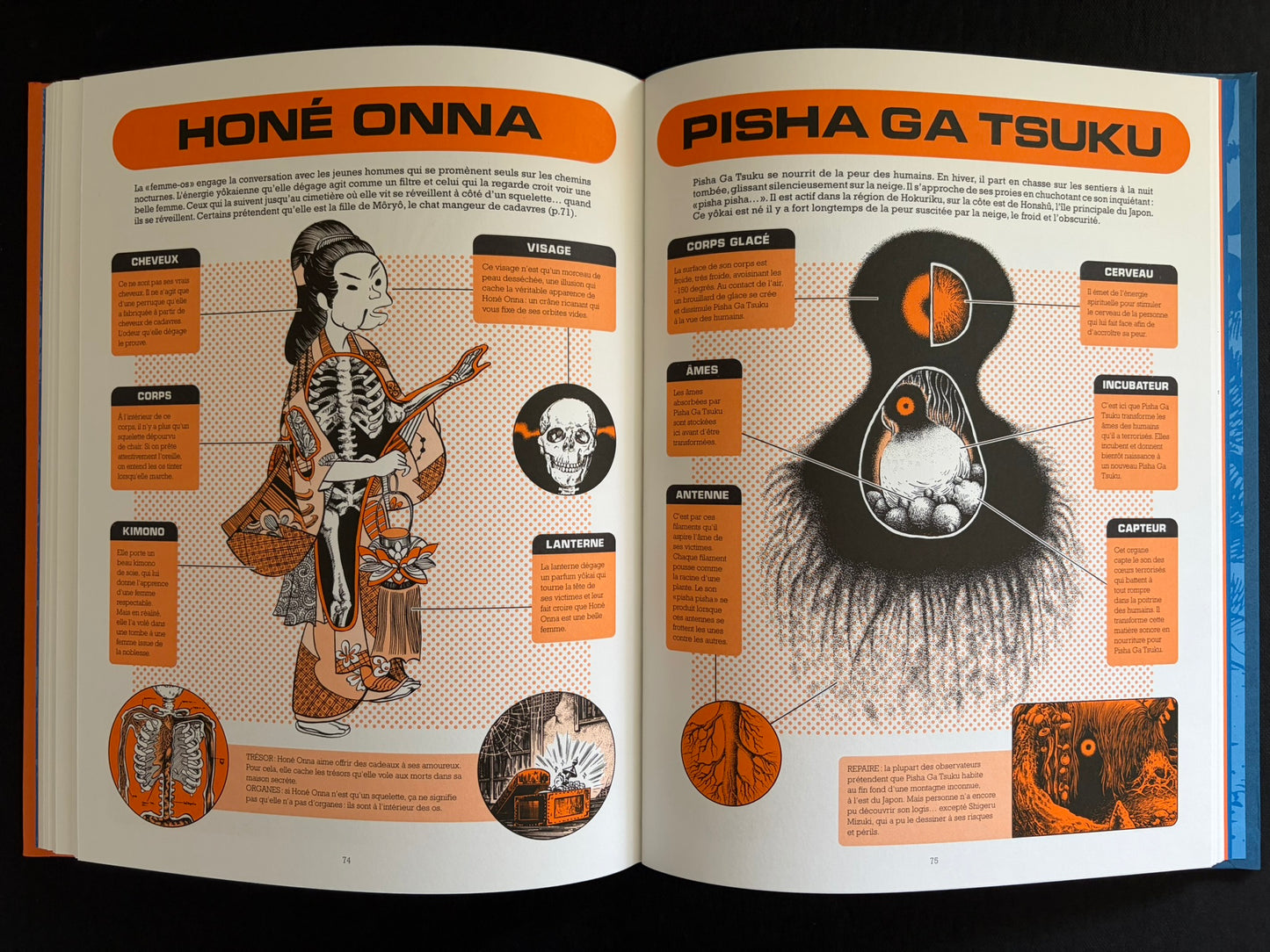 Two-page spread with yokai anatomy diagrams titled Honé Onna and Pisha Ga Tsuku in À l'intérieur des yokai.