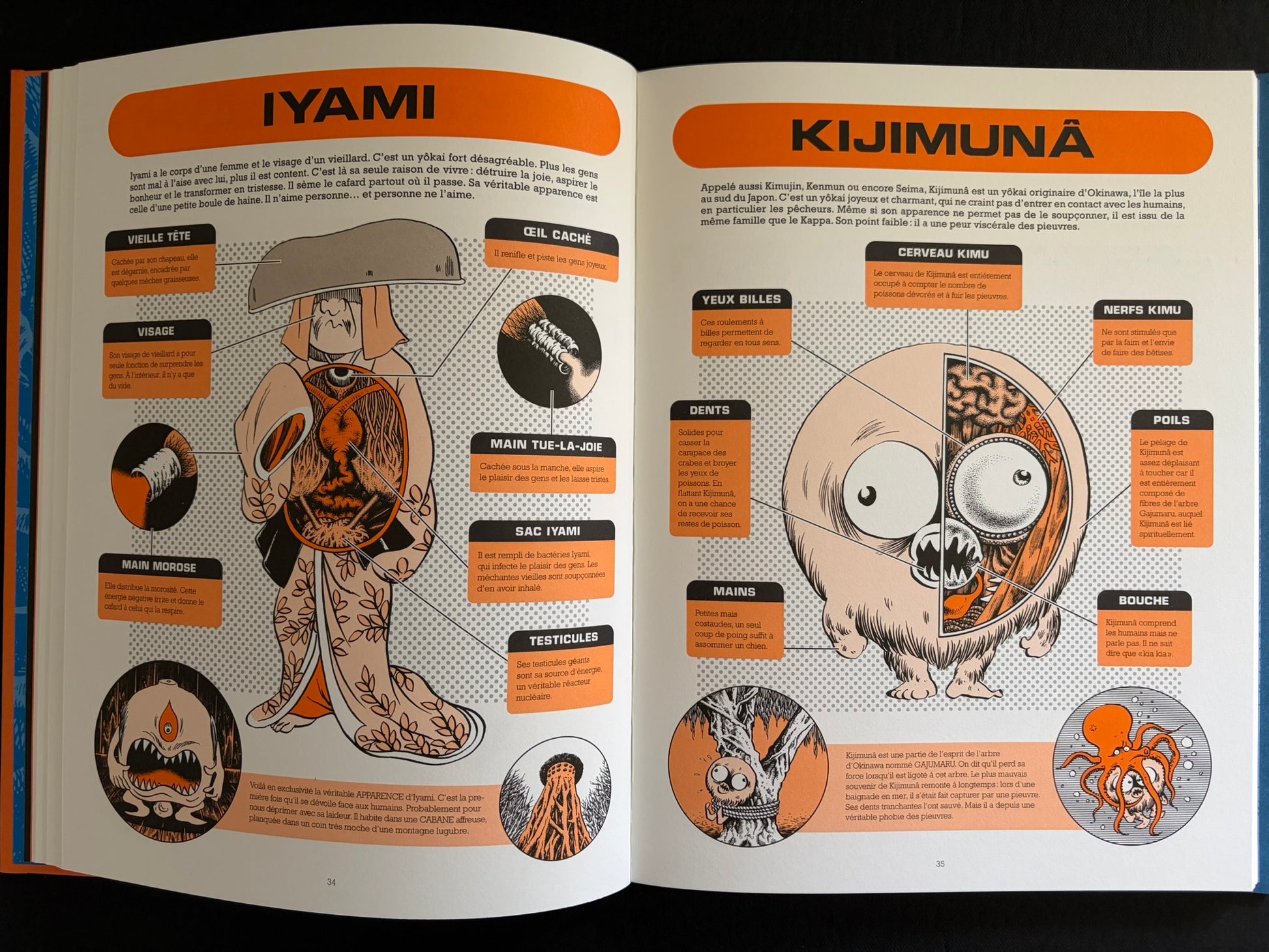 Two-page spread with yokai anatomy diagrams titled Iyami and Kijimunā in À l'intérieur des yokai.