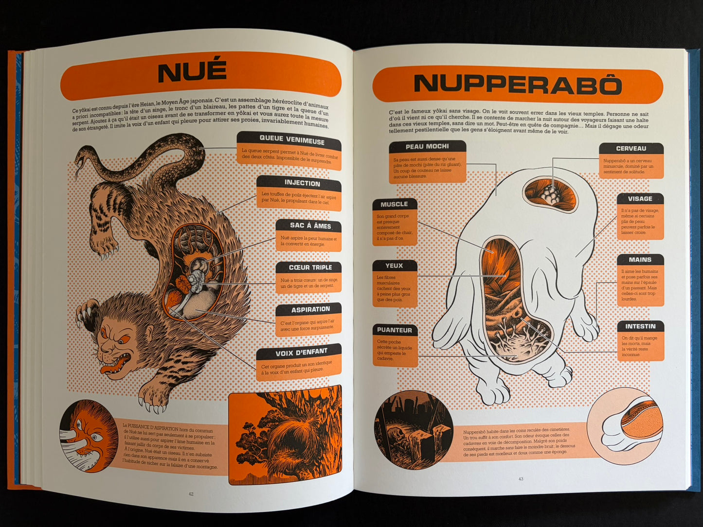 Two-page spread with yokai anatomy diagrams titled Nué and Nupperabō in À l'intérieur des yokai.