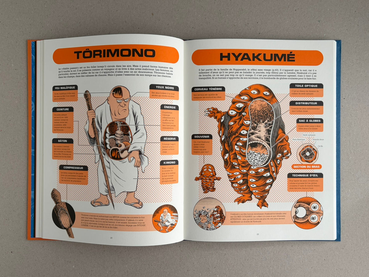 Open spread from À l'interieur des yokai by Shigeru Mizuki, showing two illustrated yokai entries with French labels and orange section headers.