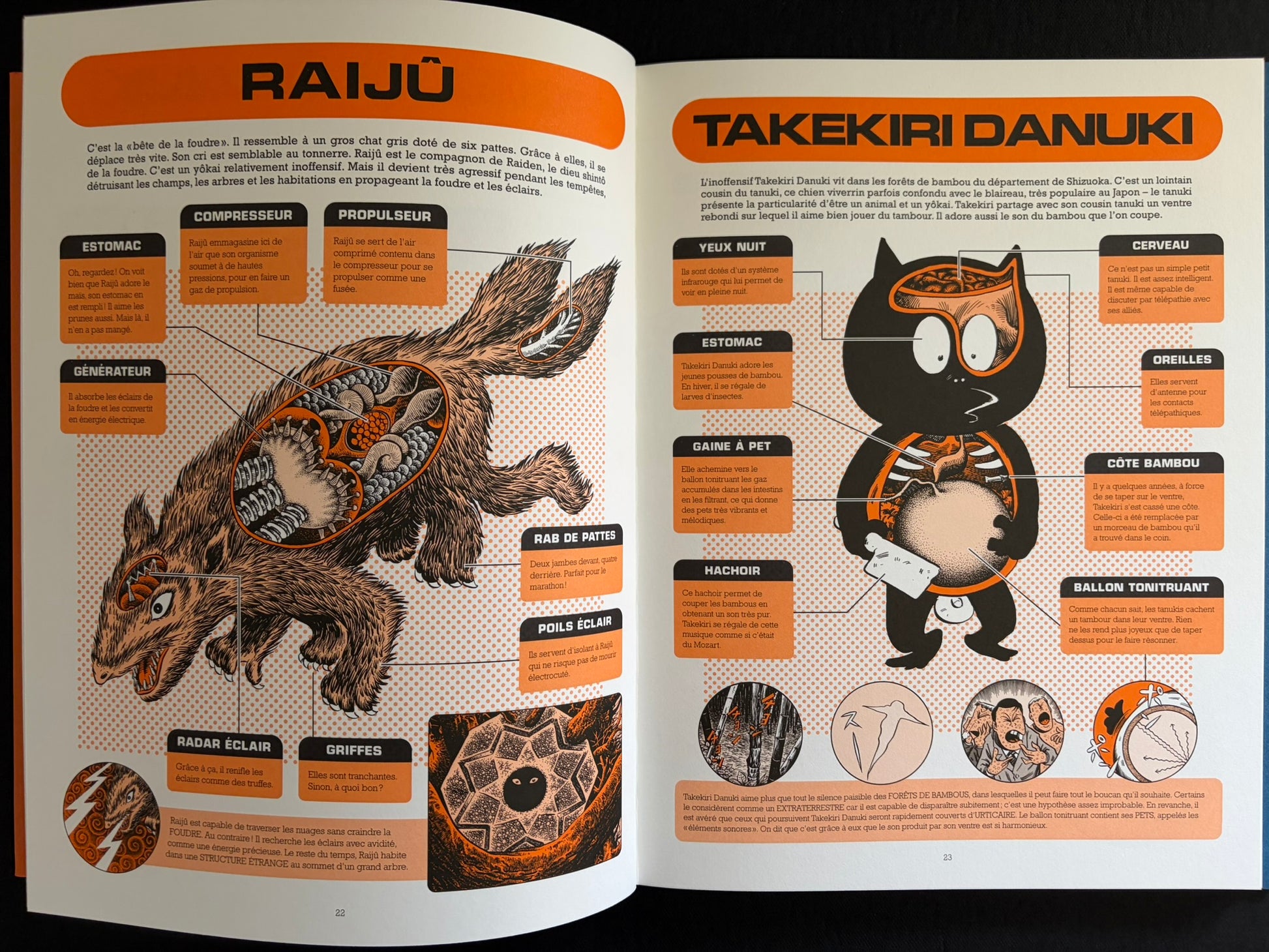 Two-page spread with yokai anatomy diagrams titled Raijū and Takekiri Danuki in À l'intérieur des yokai.