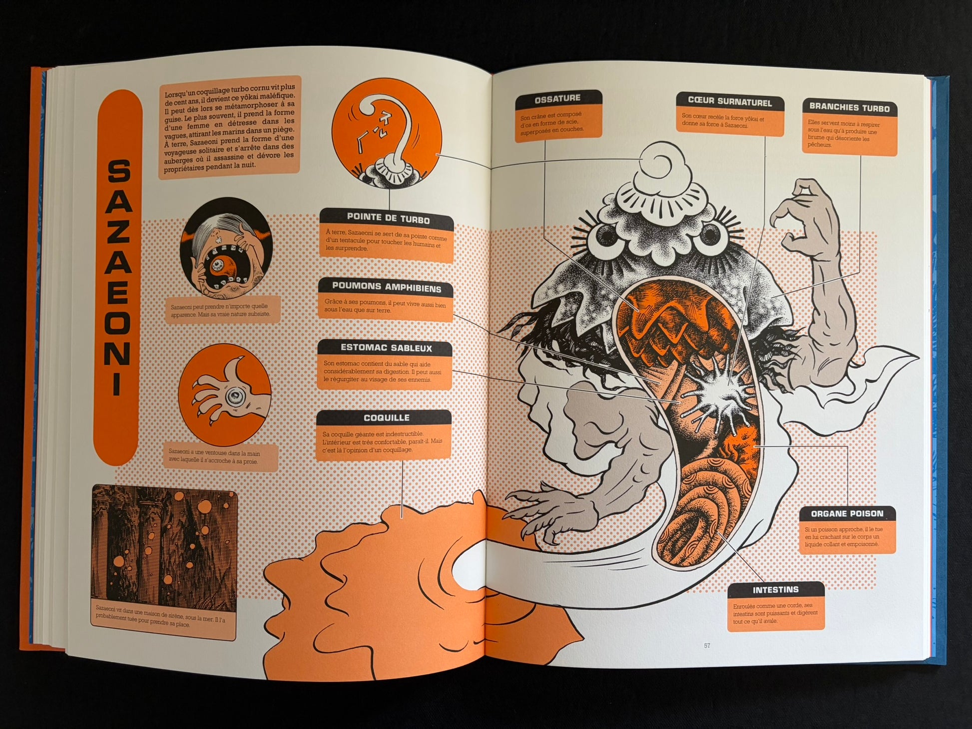 Two-page spread with yokai anatomy diagrams titled Sazaeoni and Ichimokuren in À l'intérieur des yokai.