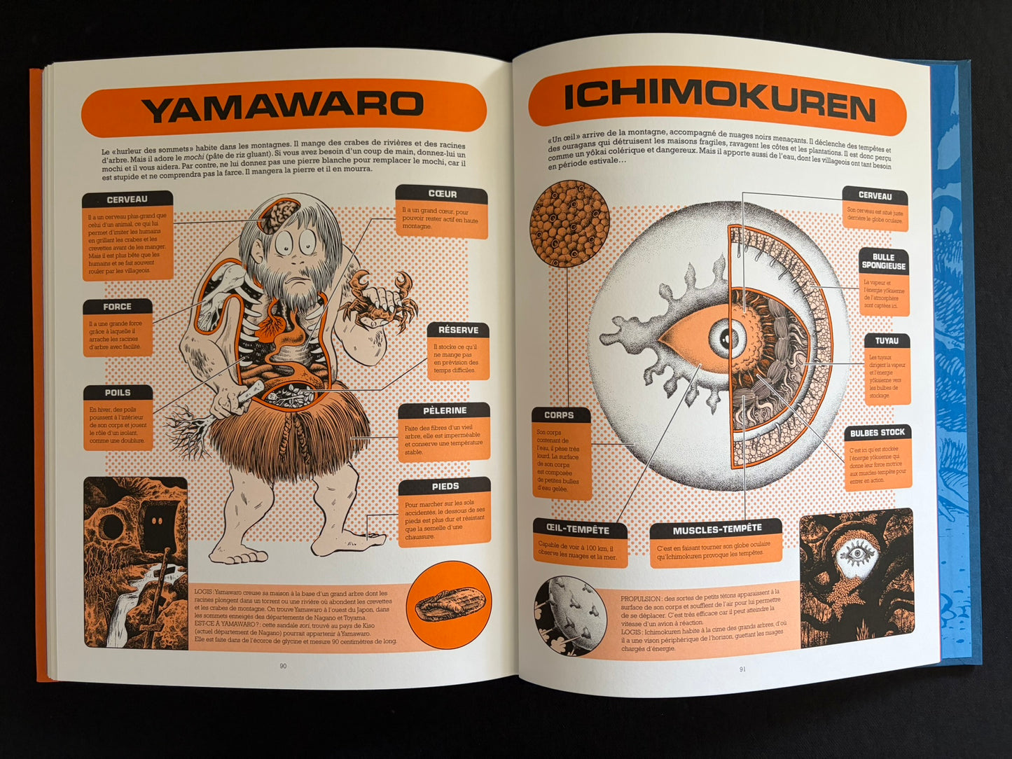 Two-page spread with yokai anatomy diagrams titled Yamawaro and Ichimokuren in À l'intérieur des yokai.
