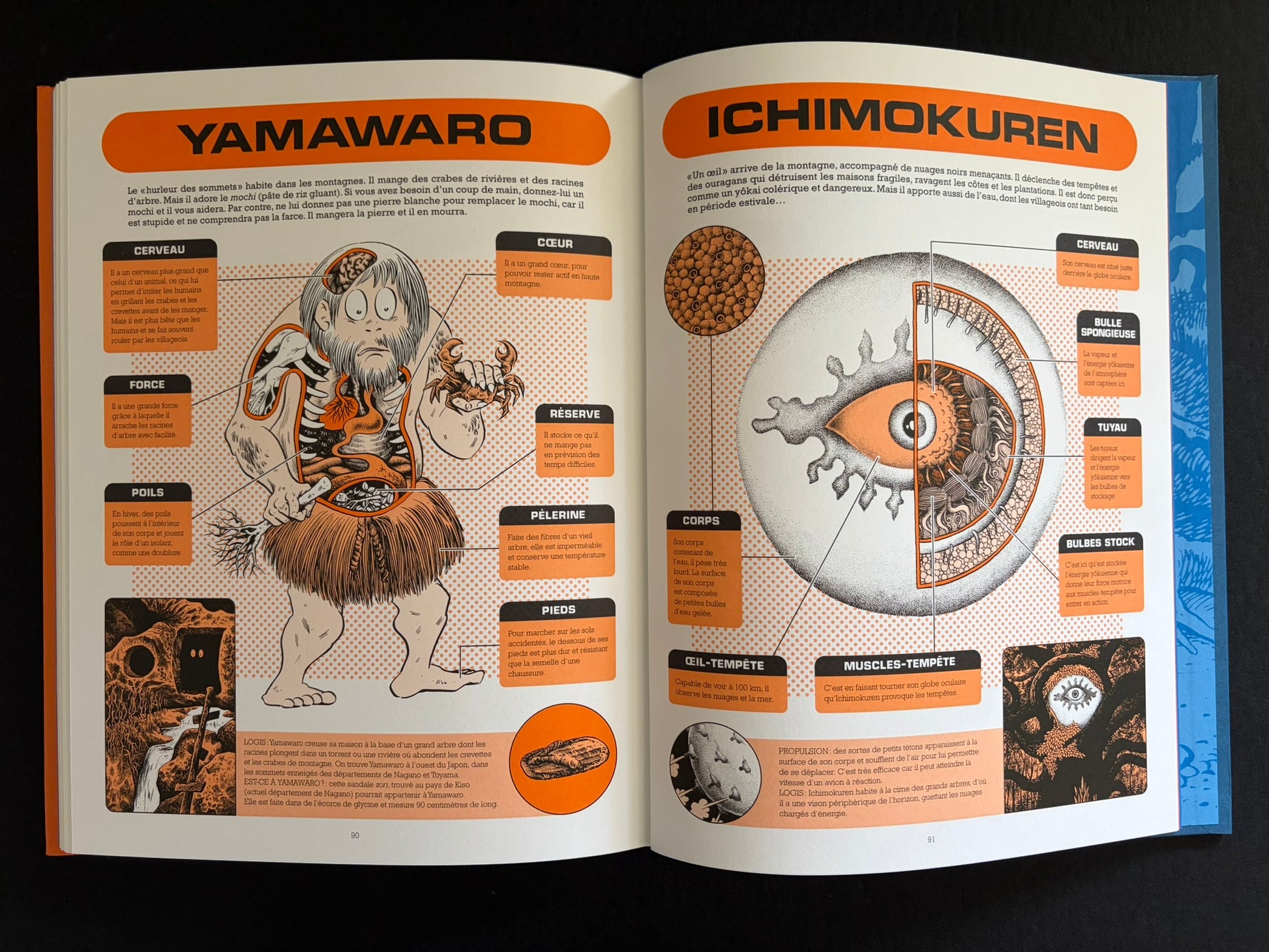 Two-page spread with yokai anatomy diagrams titled Yamawaro and Ichimokuren in À l'intérieur des yokai.