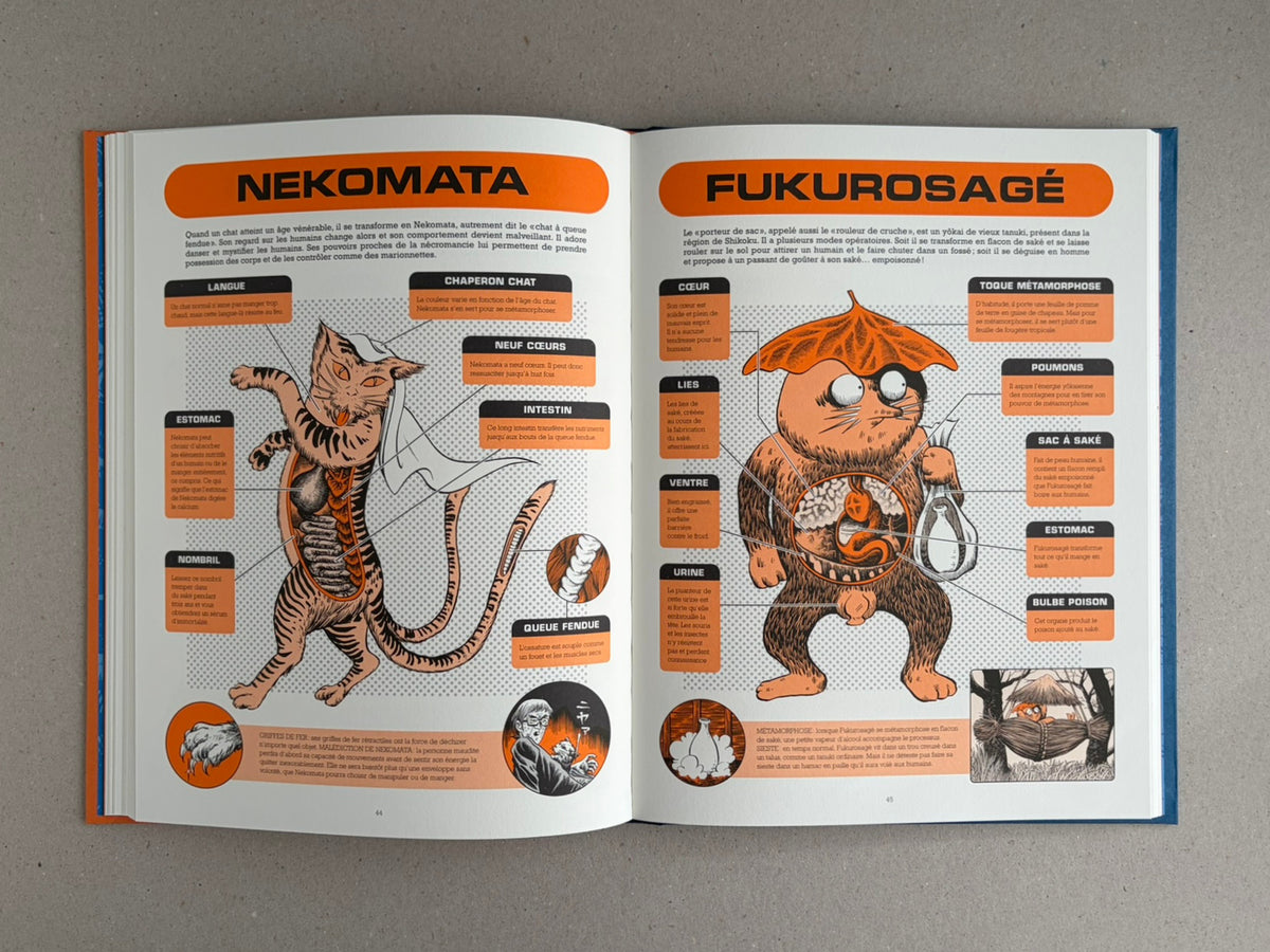 Open spread from À l'interieur des yokai by Shigeru Mizuki, showing illustrated encyclopedia pages on Nekomata and Fukurosage.