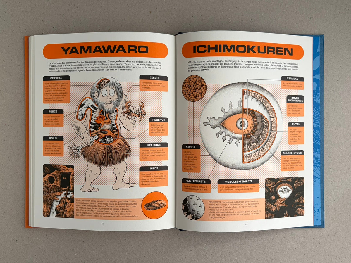 Open book spread from À l'interieur des yokai by Shigeru Mizuki, showing two illustrated encyclopedia-style pages with labeled diagrams and French text.