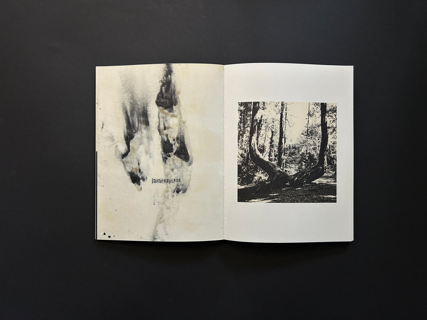 Open spread from Lejos De La Tierra with an abstract ink-like image on the left and a forest photograph on the right