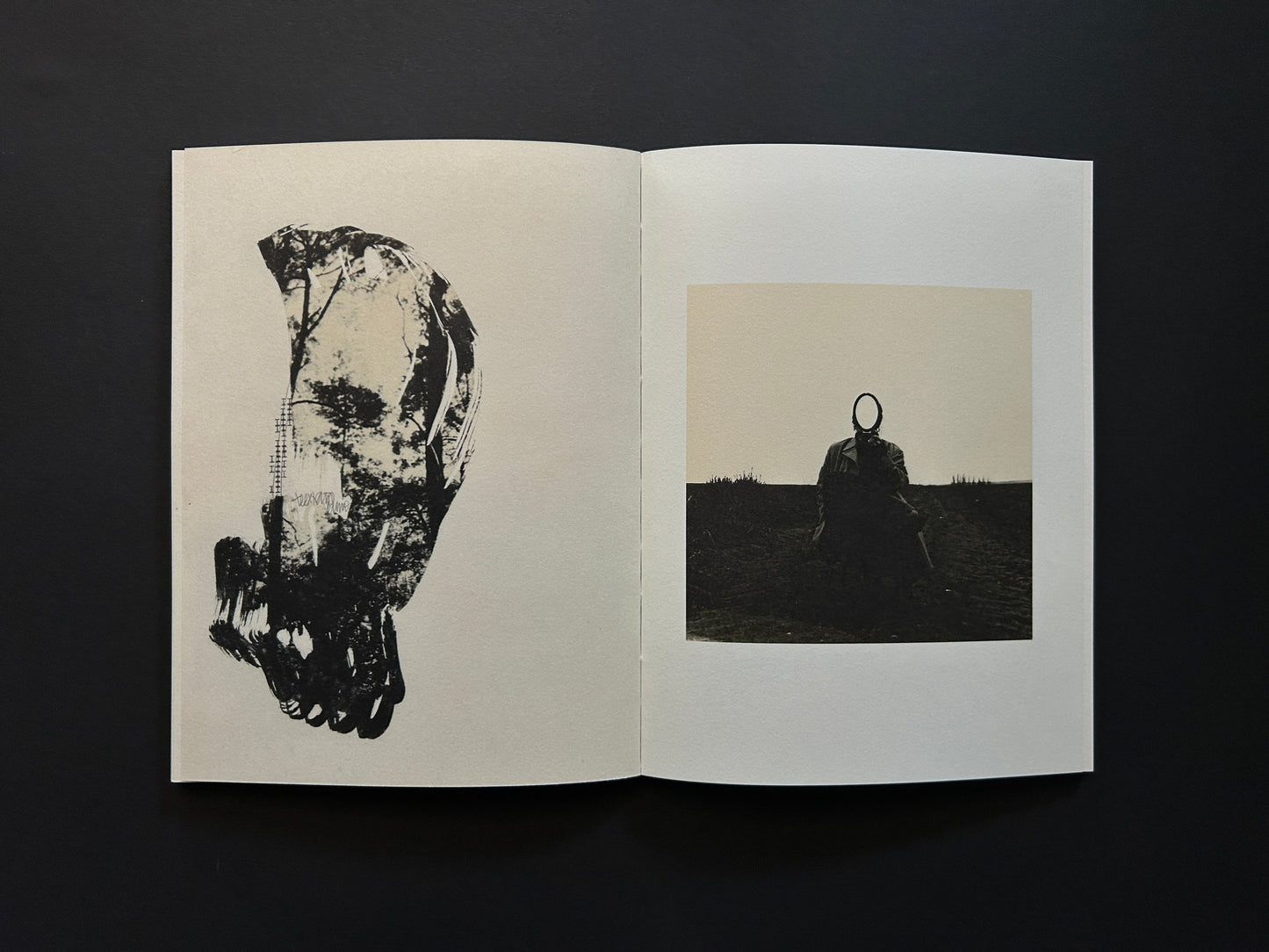 Open spread from Lejos De La Tierra with a large collage form on the left and a small seated figure photograph on the right