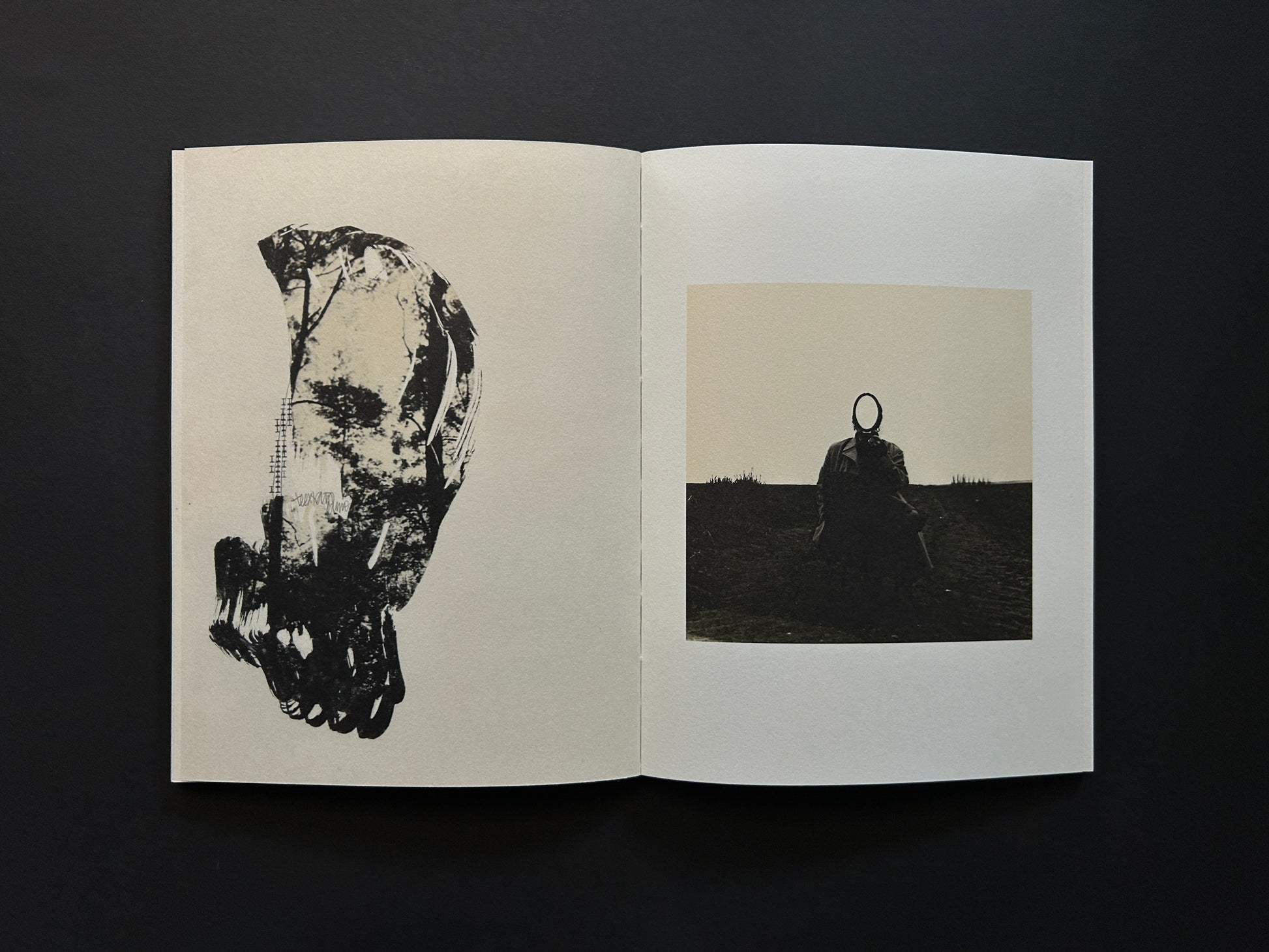 Open spread from Lejos De La Tierra with a large collage form on the left and a small seated figure photograph on the right