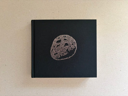 Love Nest by Charles Burns, black cloth hardcover with a stamped circular image on the front cover.