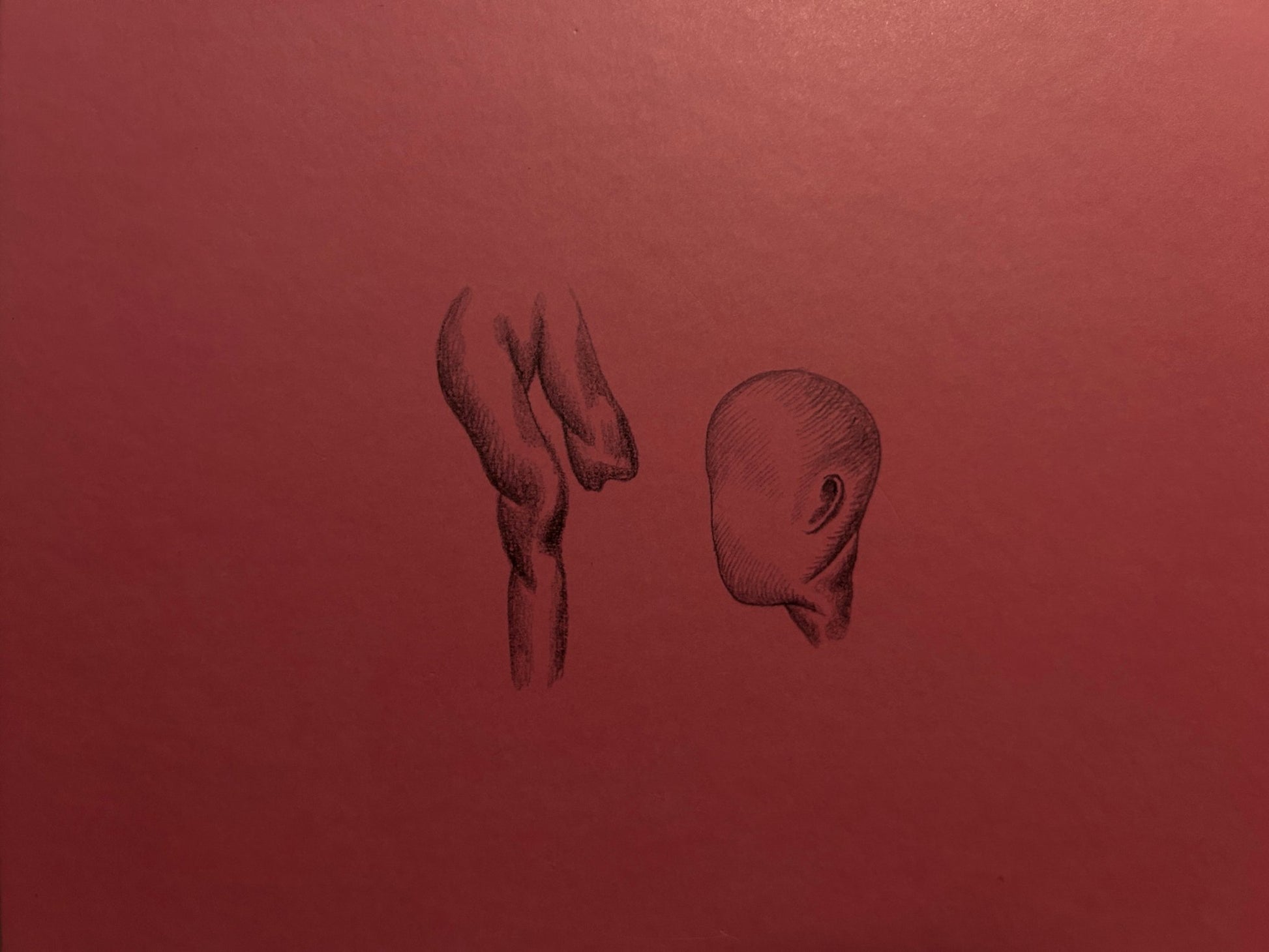 Ludovic Debeurme - Terra Maxima - Éditions Cornélius - Lokator100