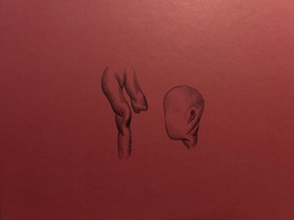 Ludovic Debeurme - Terra Maxima - Éditions Cornélius - Lokator100