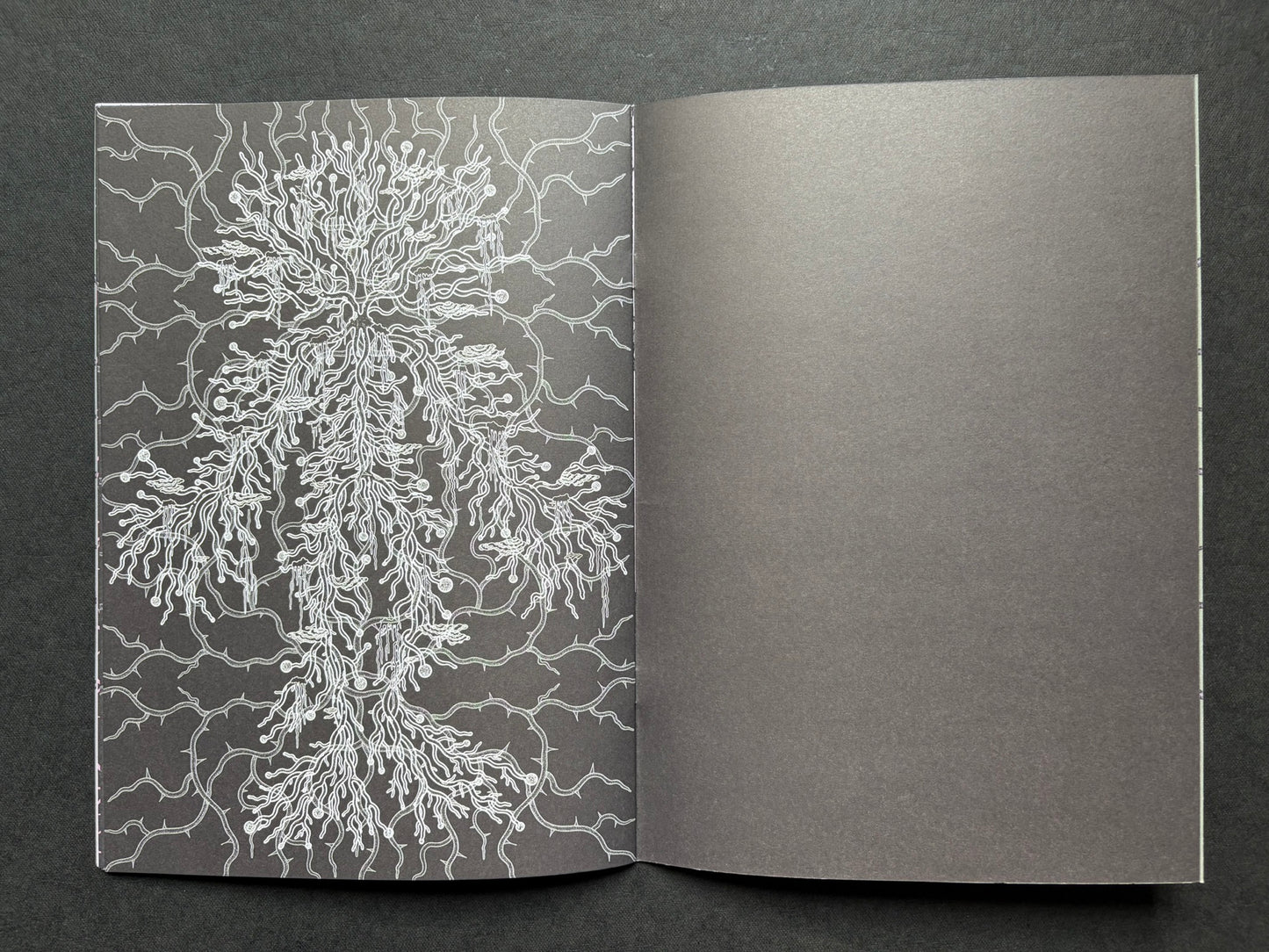 Mana by Dina Omut, black endpaper spread with white root-like linework