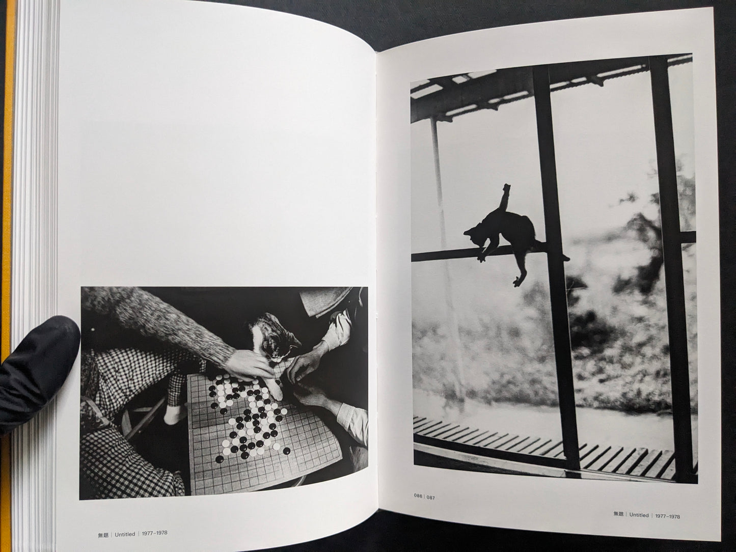 Open spread with a cat near a Go board and a second cat leaping through a window frame.