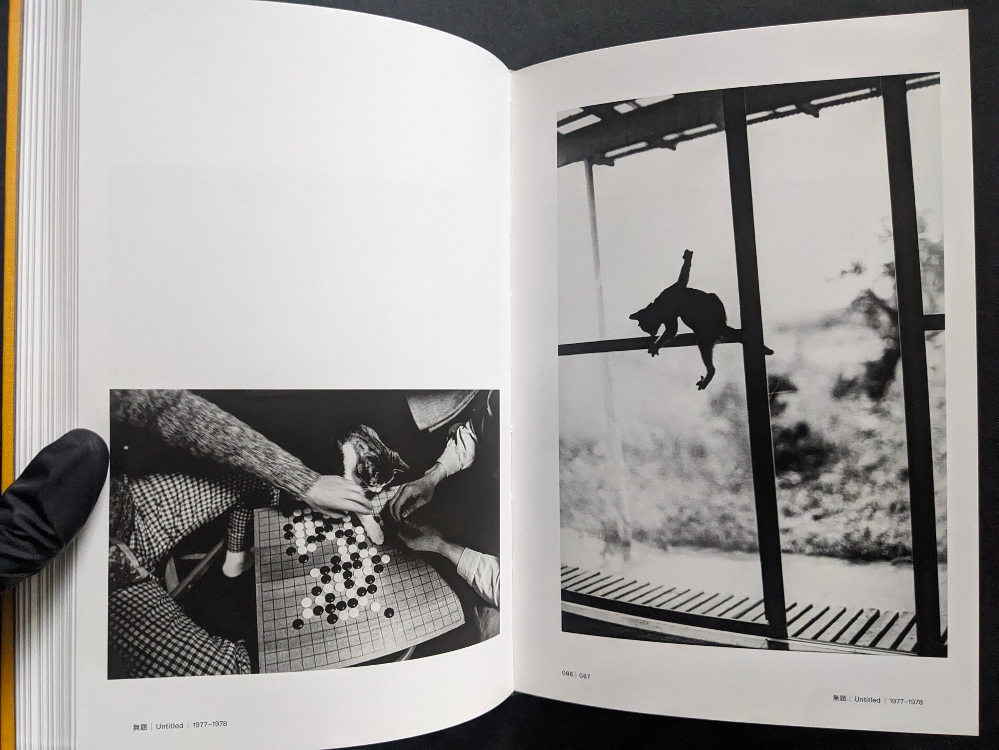 Open spread with a cat near a Go board and a second cat leaping through a window frame.