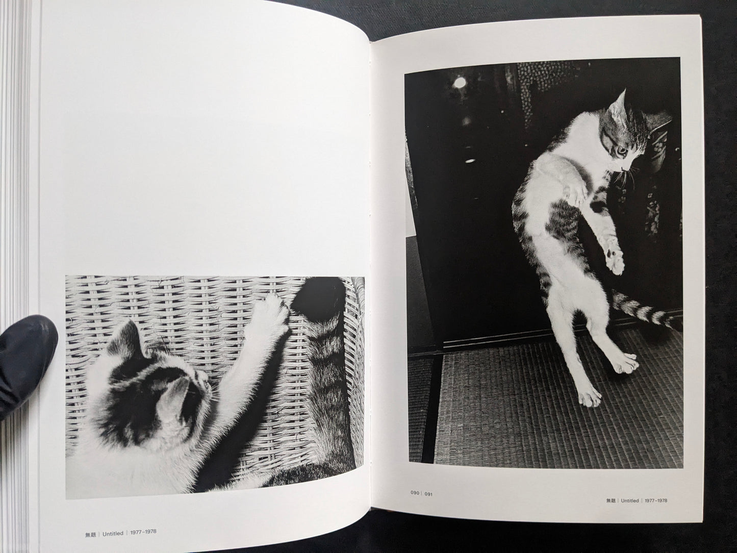 Open spread with two black-and-white cat photographs, including one cat stretching against a wicker chair.