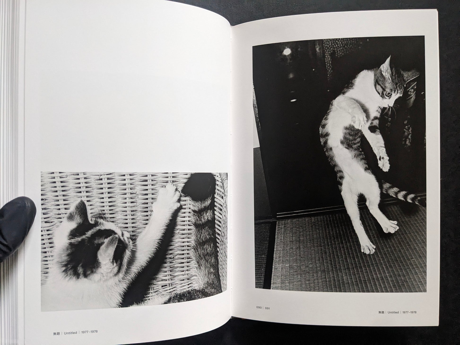 Open spread with two black-and-white cat photographs, including one cat stretching against a wicker chair.