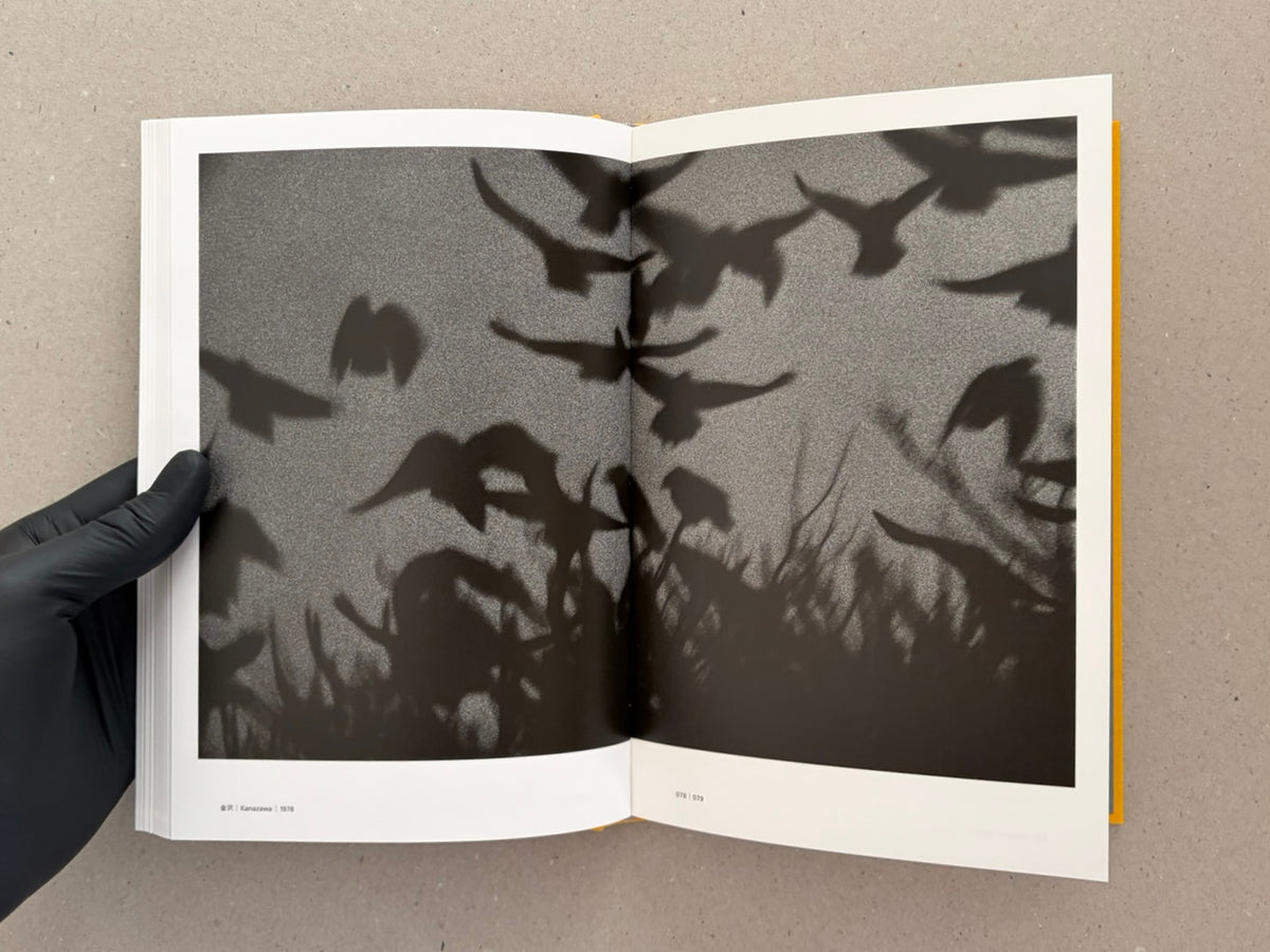 Open spread of Masahisa Fukase 1961–1991 Retrospective showing a black-and-white photograph of bird shadows across a textured surface, with page number 078–079 visible.