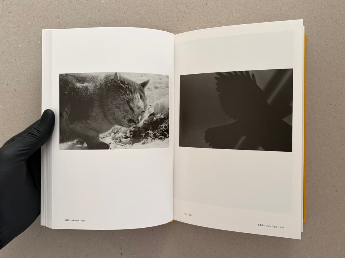 Open spread in Masahisa Fukase 1961–1991 Retrospective, showing a black-and-white cat photograph on the left and a dark silhouetted bird image on the right.