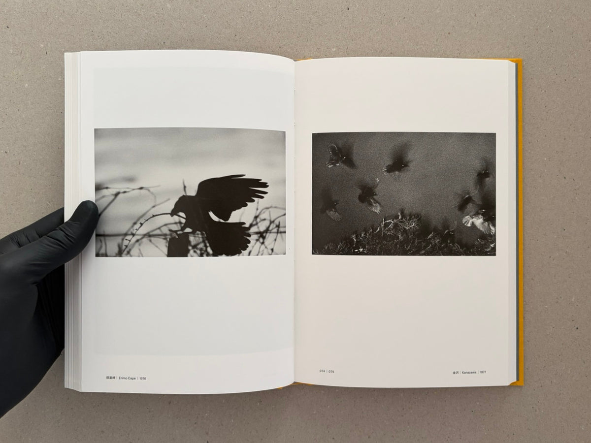 Open spread from Masahisa Fukase 1961–1991 Retrospective showing two black-and-white photographs on white pages, with a gloved hand holding the book open.