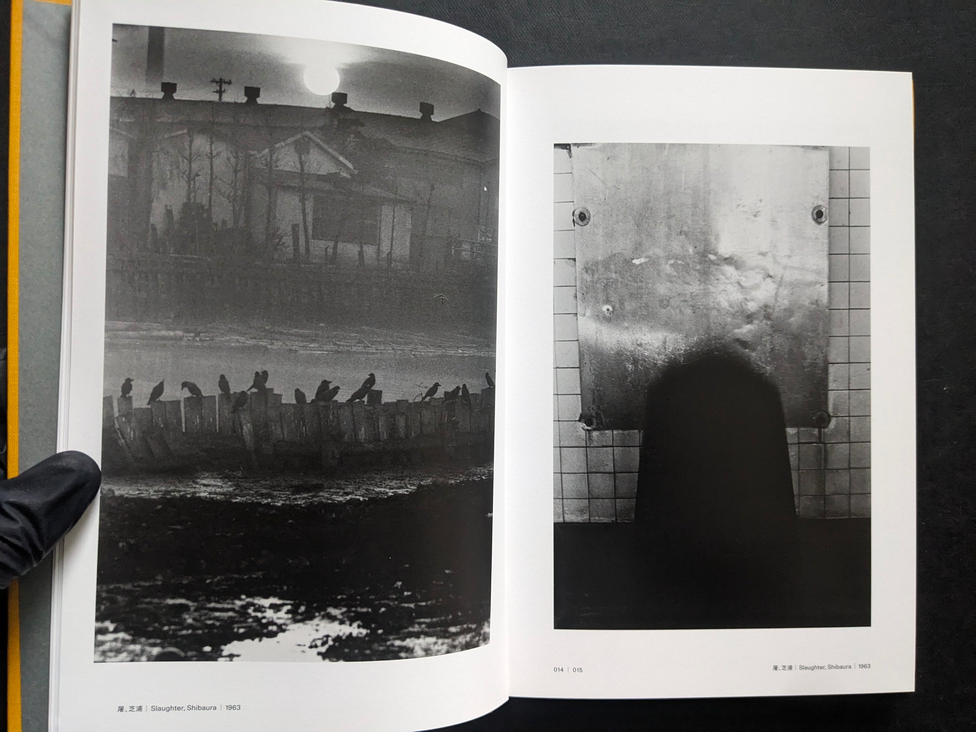 Open spread with crows on a fence under a bright moon on the left and a dark tiled opening on the right.