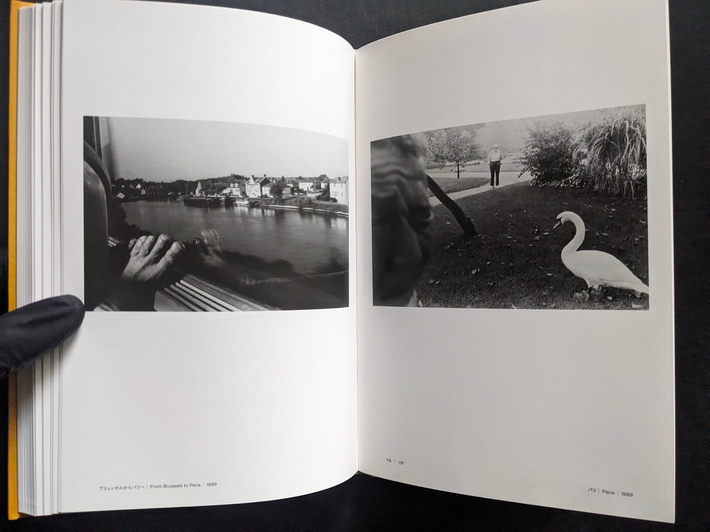Open spread with a view from a train window and a black-and-white photograph of a swan in a park.