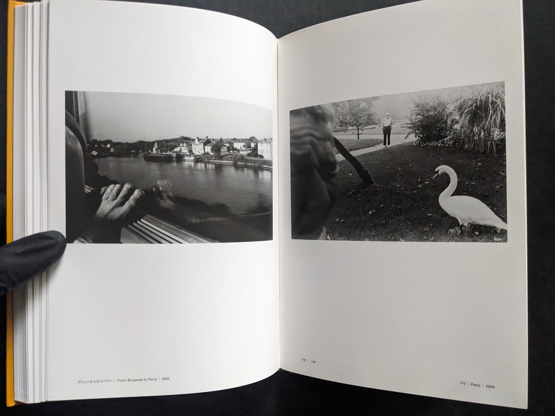 Open spread with a view from a train window and a black-and-white photograph of a swan in a park.