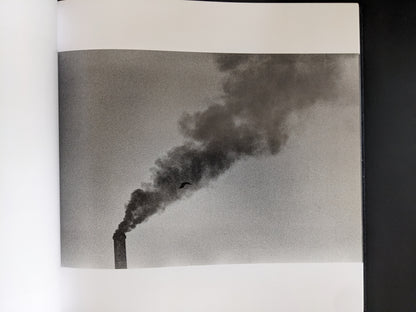 Raven flying near industrial smokestack with dense plume of smoke.