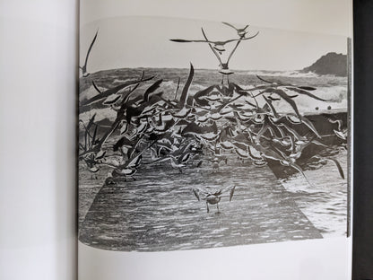 A dramatic black-and-white photograph of a large flock of seagulls taking flight from a coastal pier, with turbulent sea and cliffs in the background.