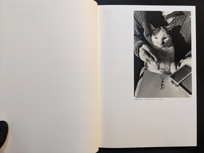 Cat sitting on a person’s lap; opening plate from “Sasuke.”