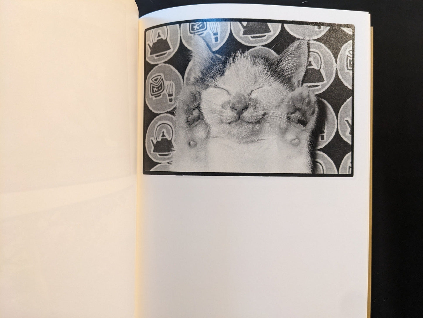 Small kitten sleeping on a patterned surface, paws raised beside its face.