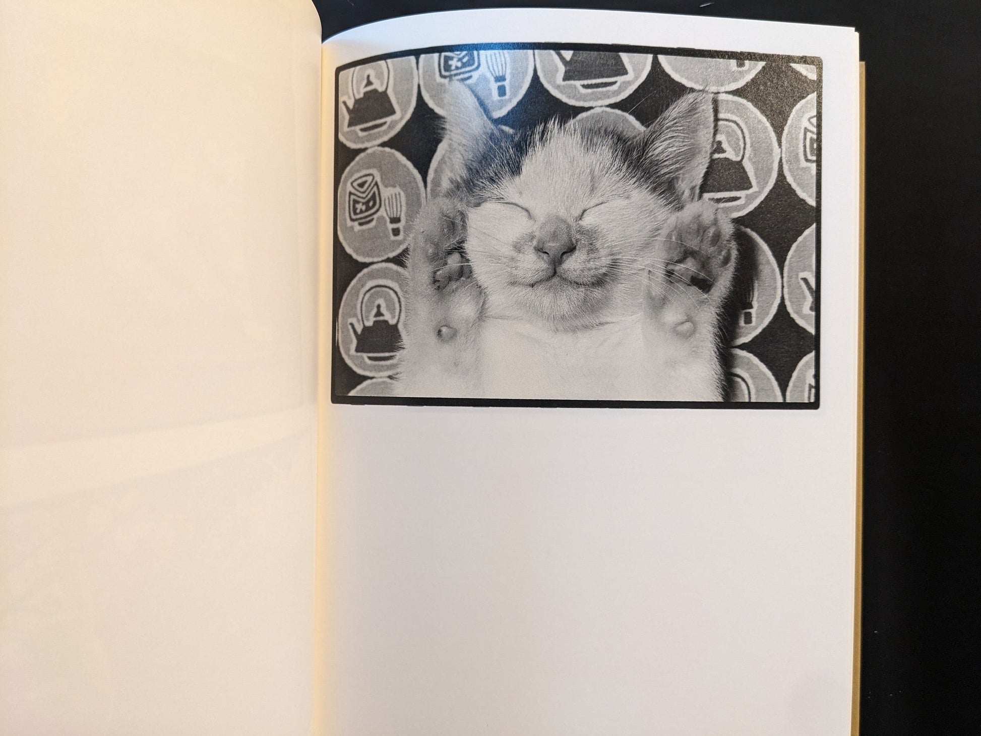 Small kitten sleeping on a patterned surface, paws raised beside its face.