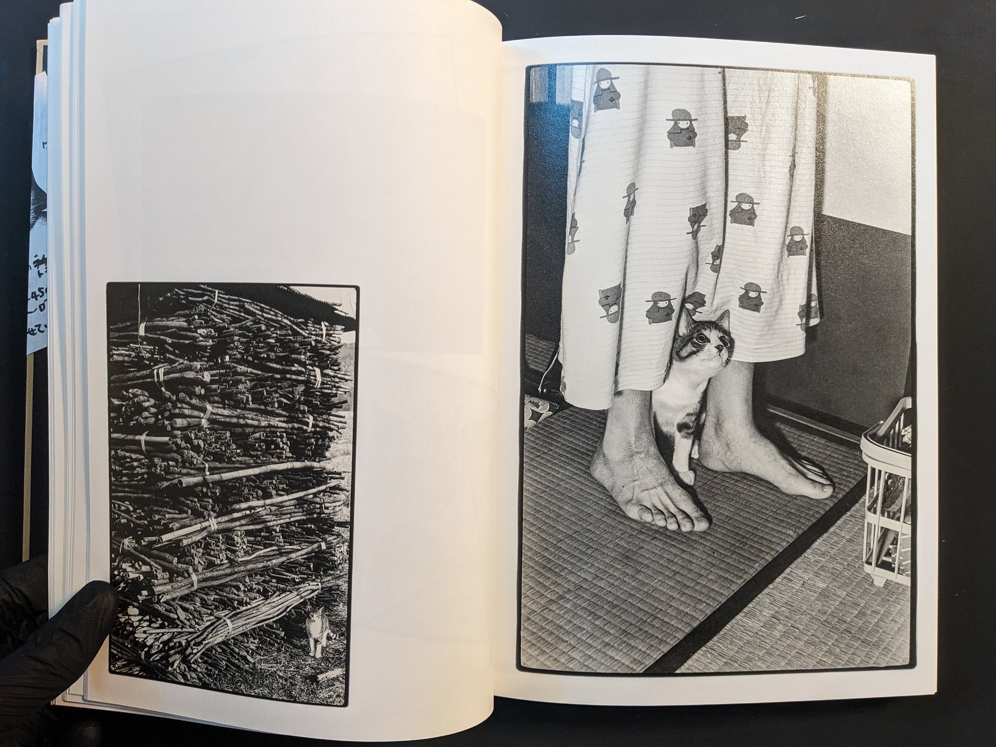 Pair of images: kitten standing beside a person’s feet on tatami; stacked bundles of wood with a small cat below.