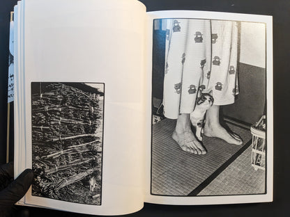 Pair of images: kitten standing beside a person’s feet on tatami; stacked bundles of wood with a small cat below.