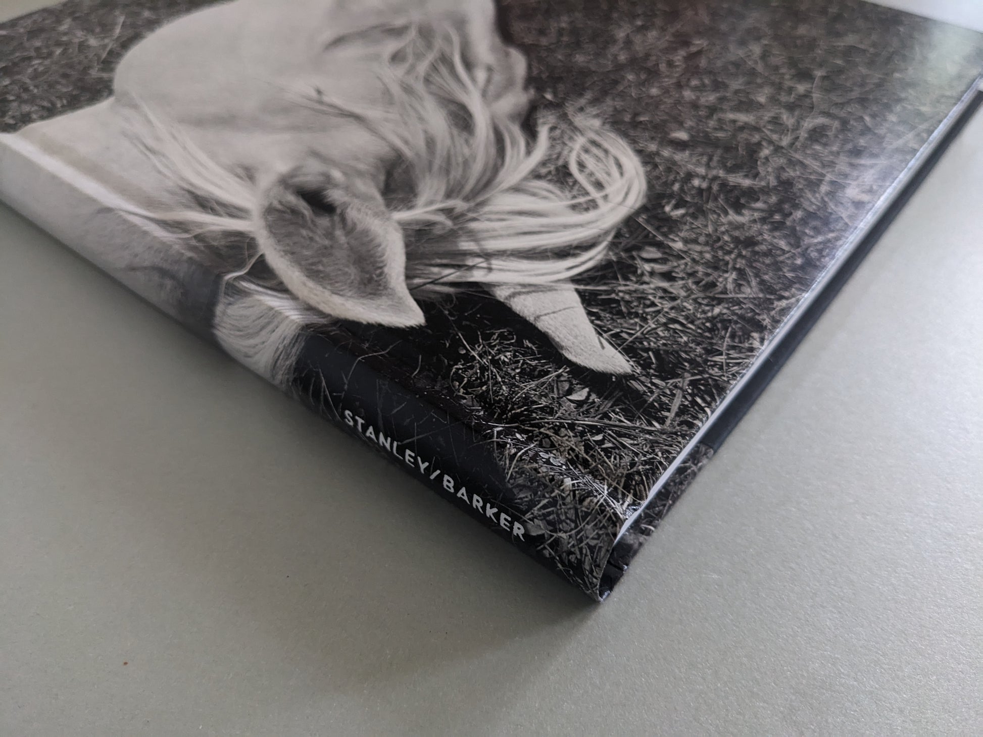 Spine of Megalith-Still by Mimi Plumb, published by Stanley/Barker