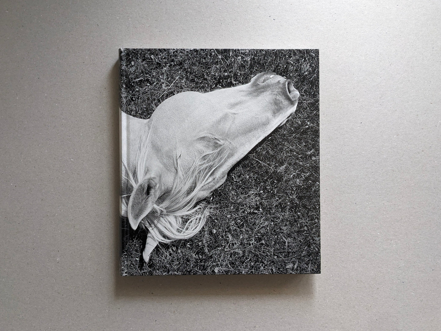 Cover of Megalith-Still by Mimi Plumb with a horse photograph