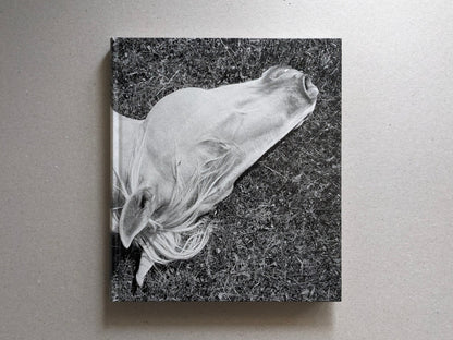 Cover of Megalith-Still by Mimi Plumb with a horse photograph