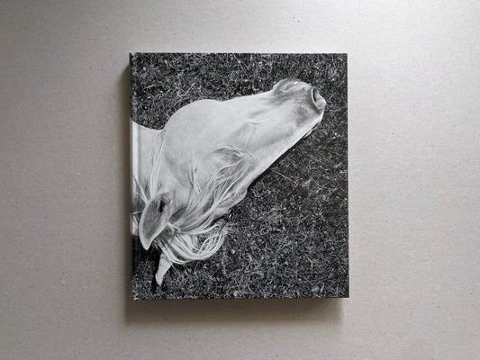 Cover of Megalith-Still by Mimi Plumb with a horse photograph