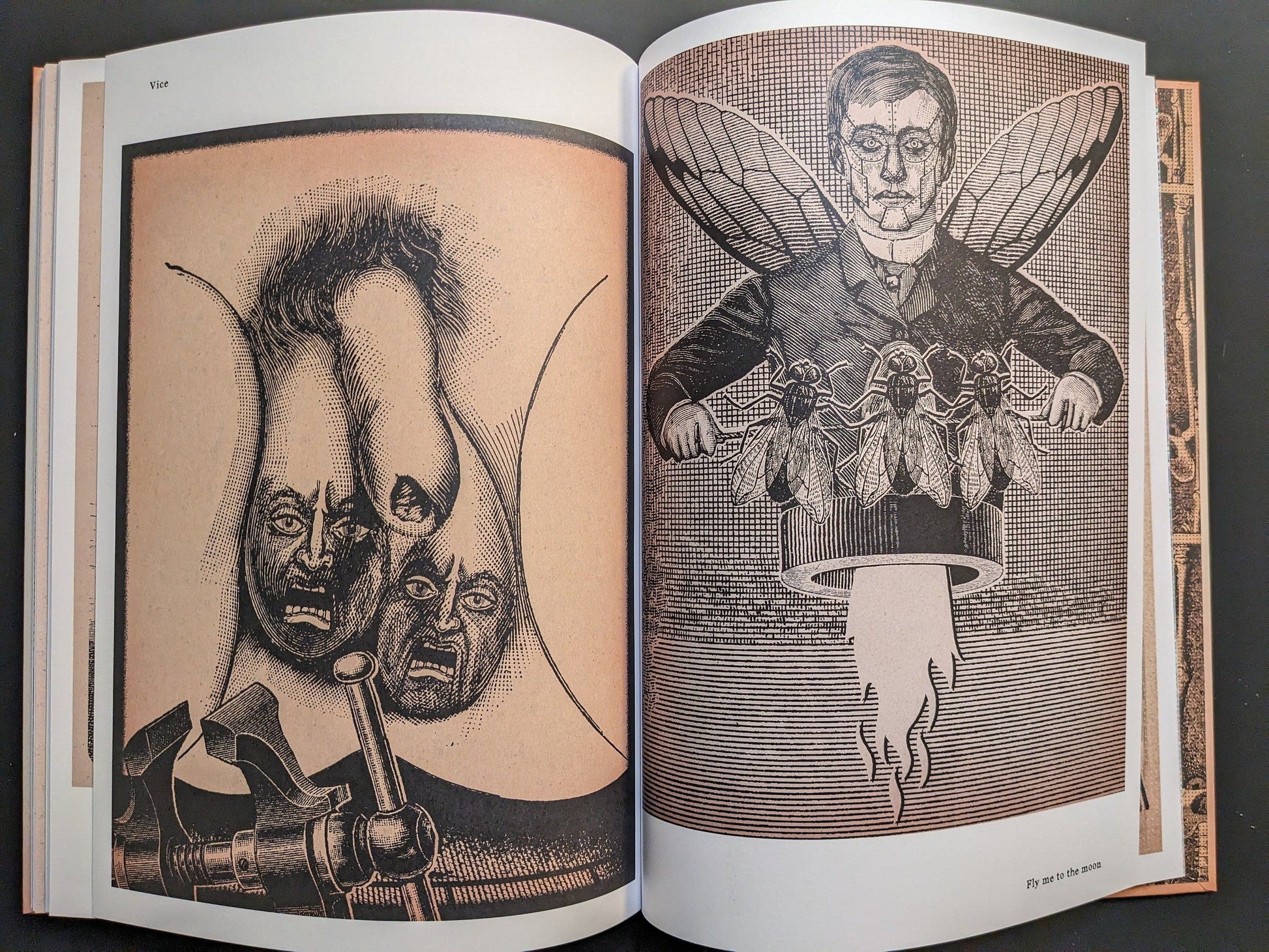 Andrew Blucha – METAFABLES, page 12: “Fly Me to the Moon” portrays a human-insect hybrid releasing flies; the next image shows a face stretched under a microscope; surreal, vintage medical illustration style.