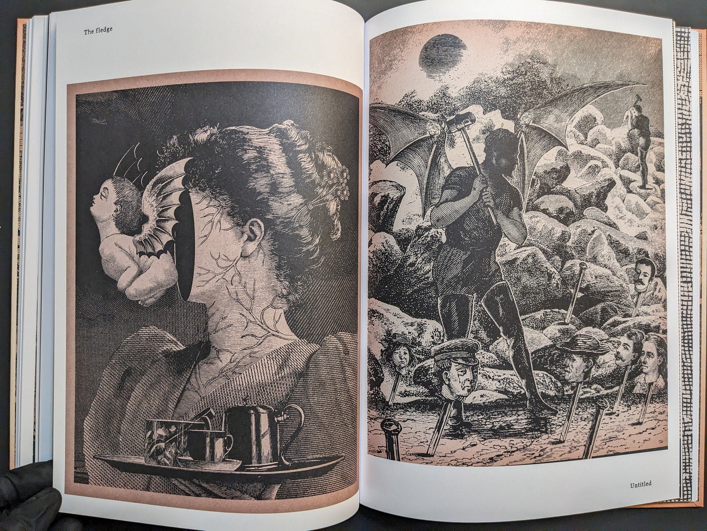 Andrew Blucha – METAFABLES (The Mansion Press), page 9: “The Reflex” shows a Victorian-style head opened to reveal a winged infant; next, an untitled scene places top-hatted figures among rocks with heads on poles; surreal, anatomical engraving look.
