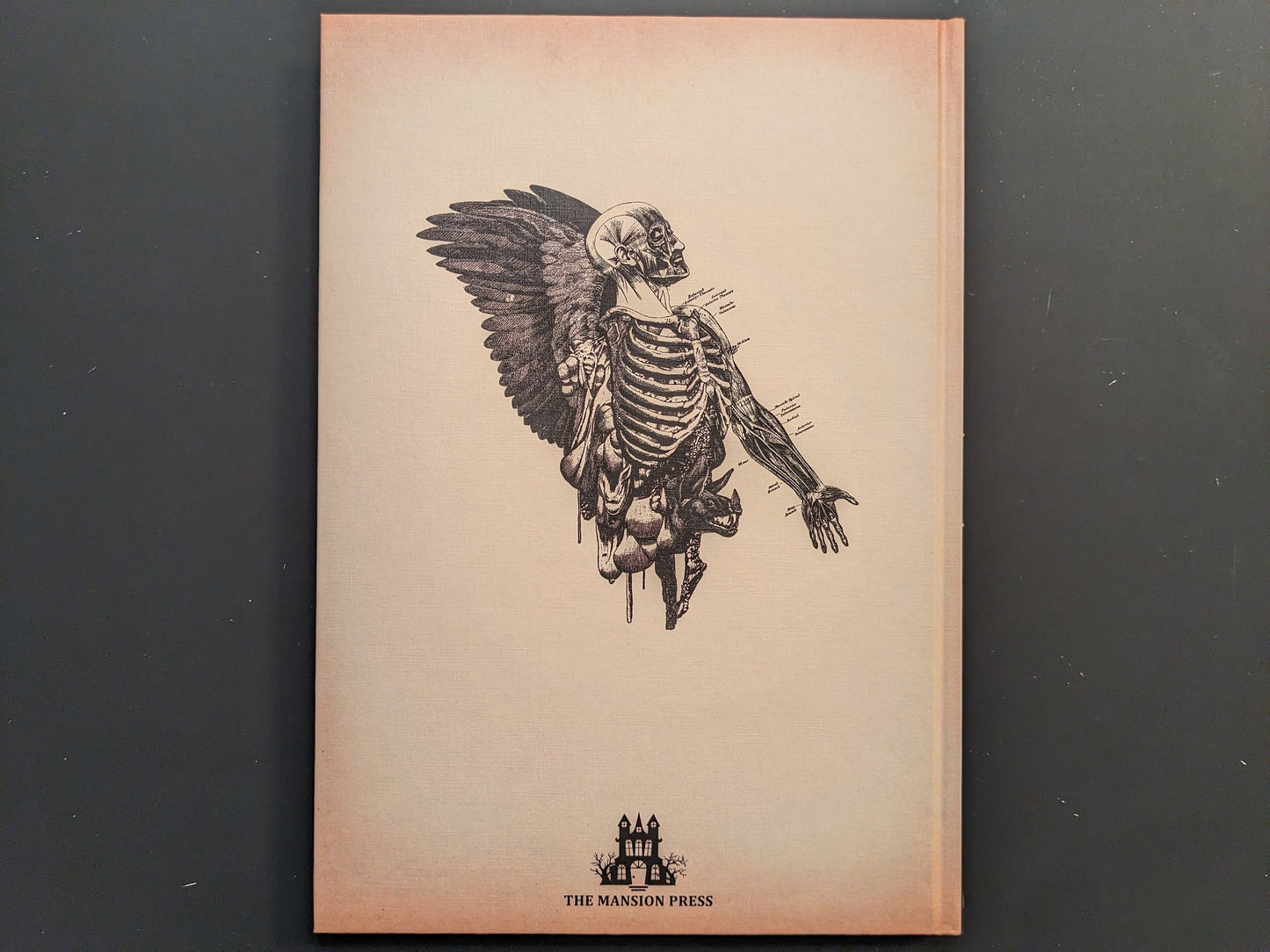 Back cover of METAFABLES, showing a monochrome skeletal figure with wings on the hardcover.