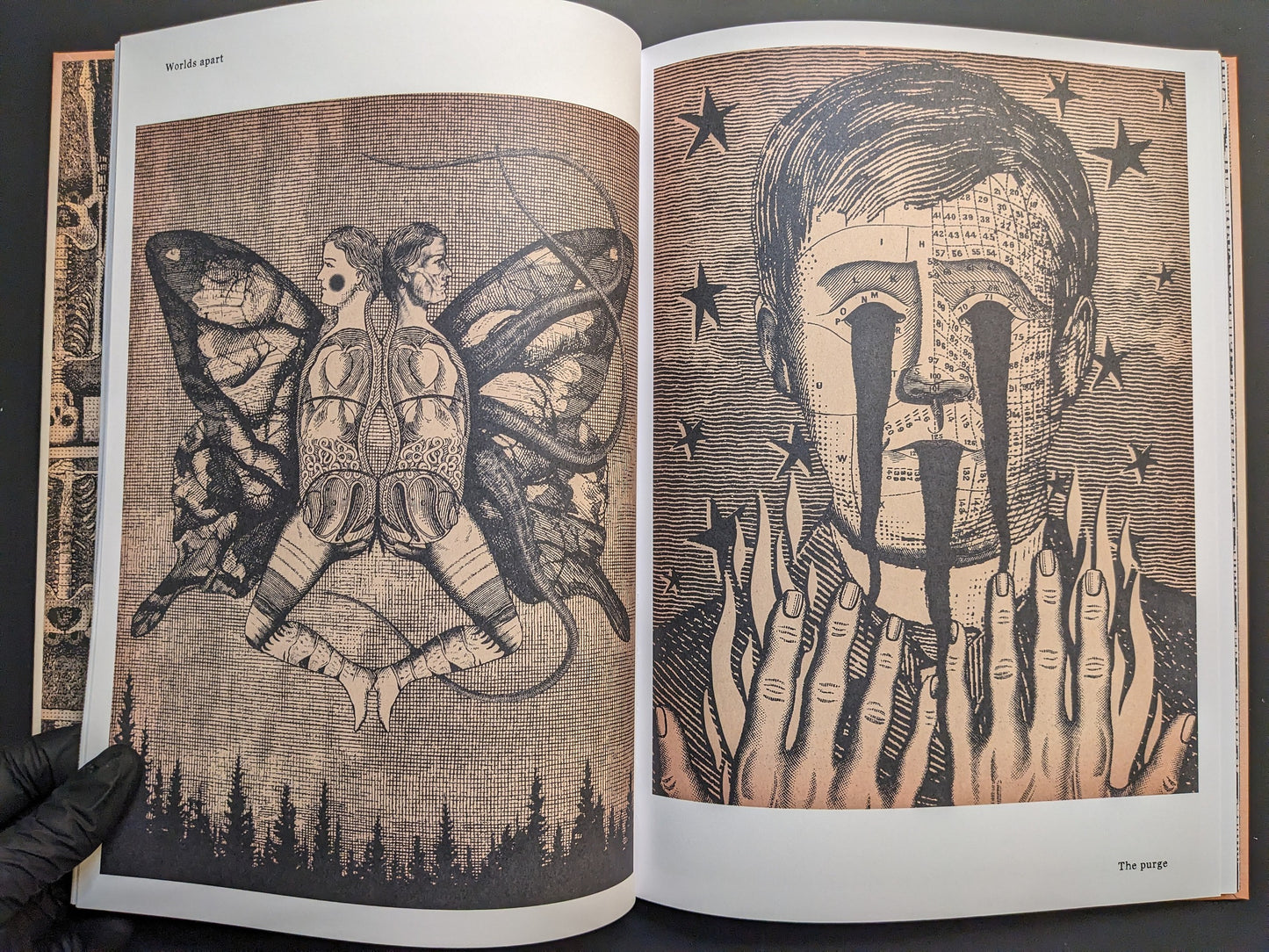 Double-page spread from METAFABLES, with conjoined butterfly bodies and a charted face with black tears.