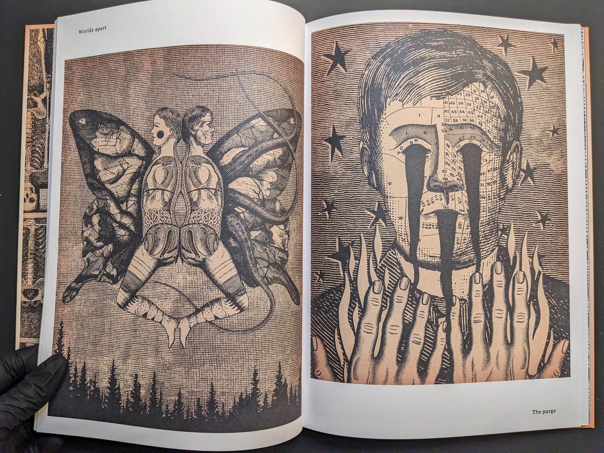 Double-page spread from METAFABLES, with conjoined butterfly bodies and a charted face with black tears.