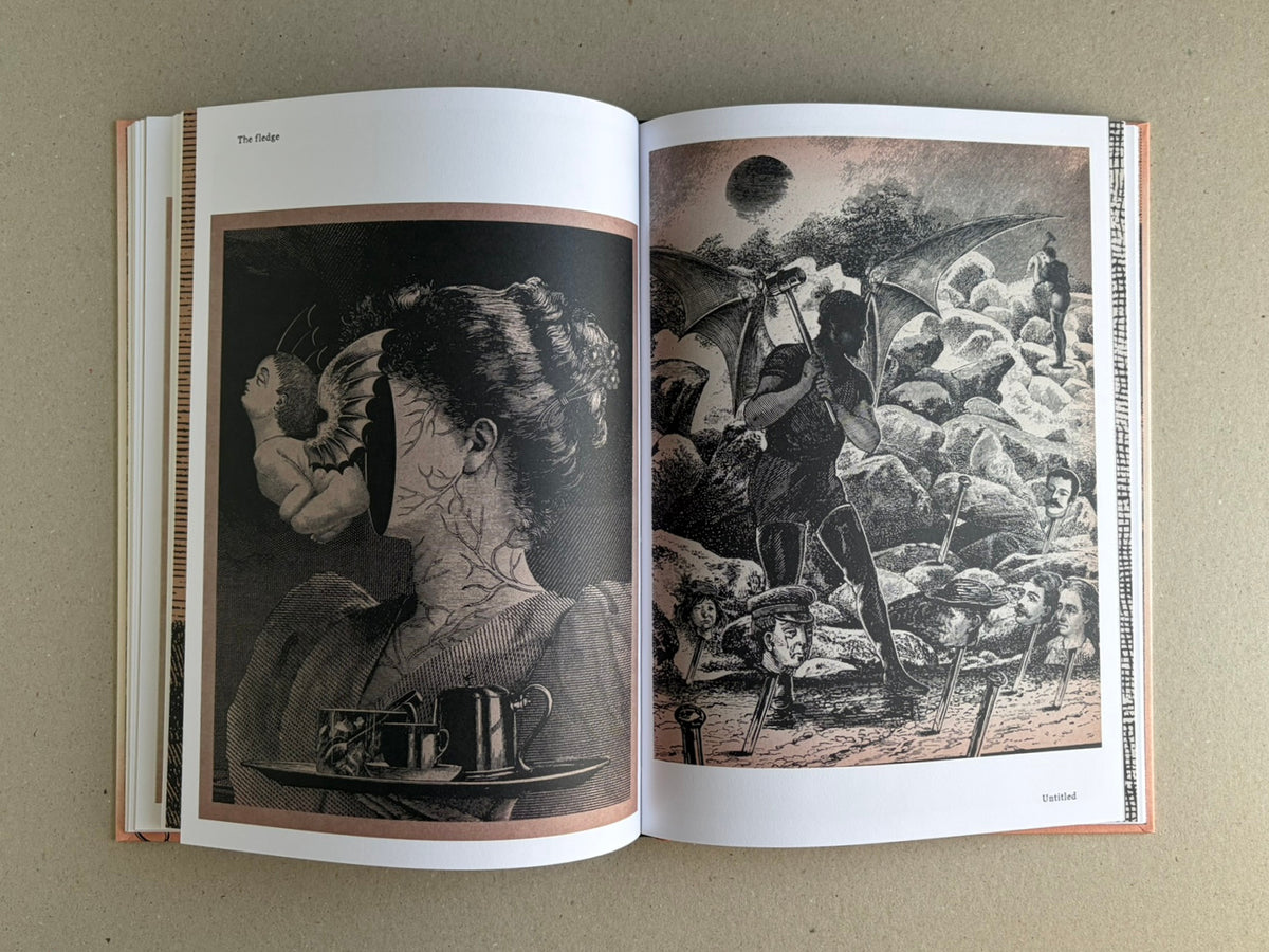 Open spread from METAFABLES: The Art of Andrew Blucha showing two monochrome surreal illustrations, one of a woman in profile and one of a winged figure among rocks.