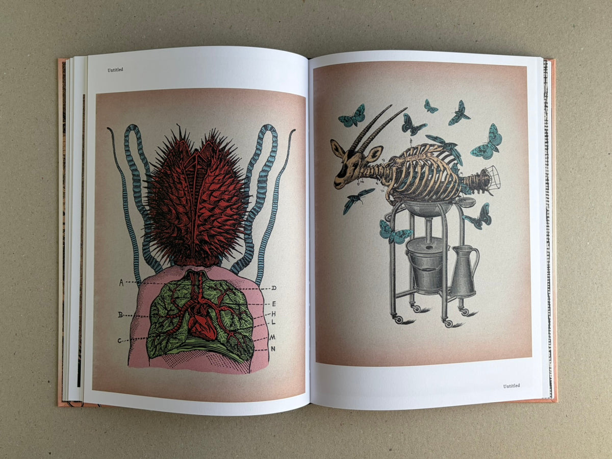 Open spread from METAFABLES: The Art of Andrew Blucha showing two surreal anatomical illustrations, including a red spiky torso diagram on the left and a skeletal animal form with butterflies on the right.