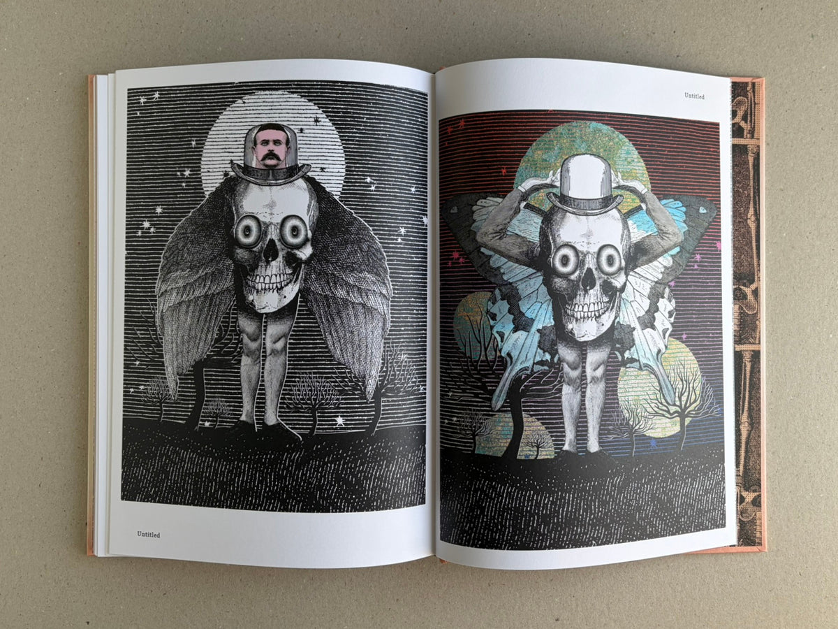 Open spread from METAFABLES: The Art of Andrew Blucha, showing two surreal full-page illustrations of a winged figure with a skull torso and a small human head inside a helmet.